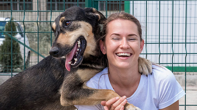 Adopción de perros